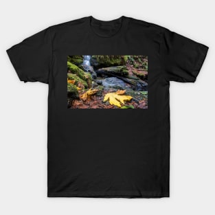 Trillium Falls in Autumn T-Shirt